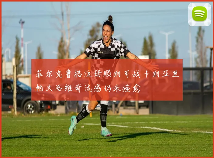 菲尔克鲁格注册顺利可战卡利亚里帕夫洛维奇流感仍未痊愈