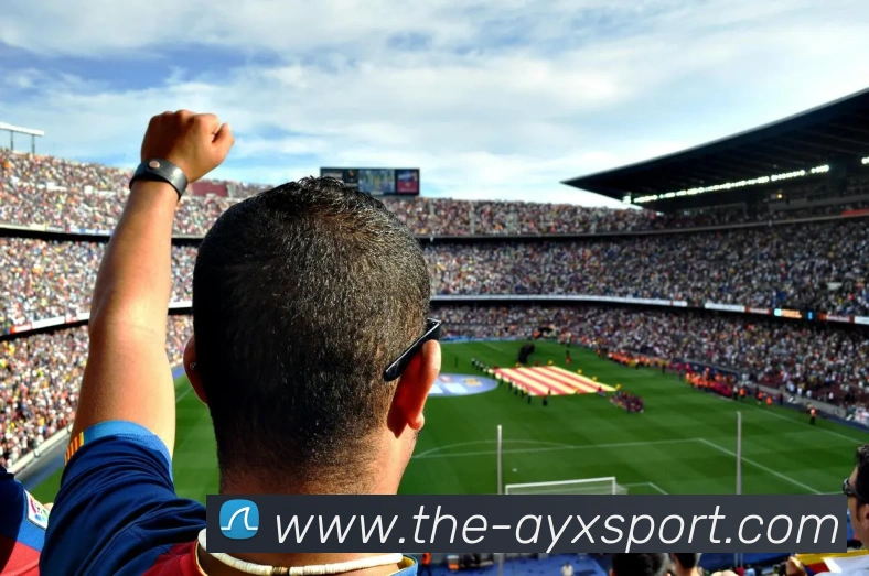 爱游戏体育平台生态图