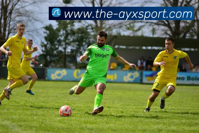 爱游戏体育APP 封面图